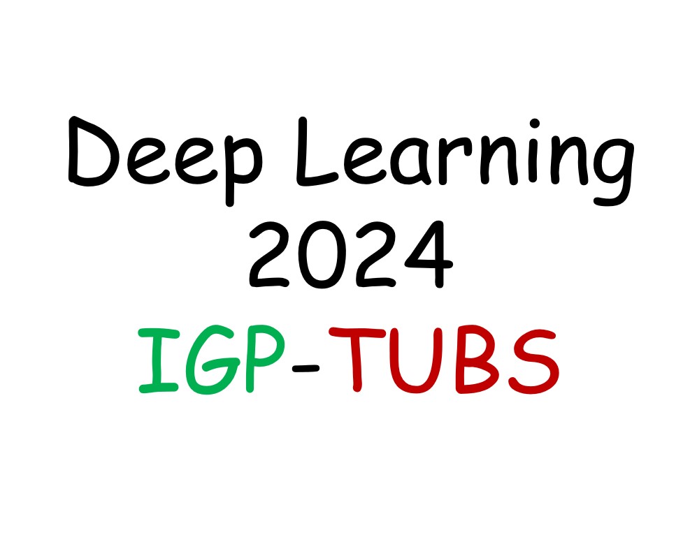 Deep Learning IGP TUBS 2024